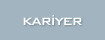 Kariyer