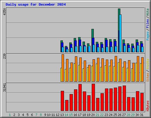 Daily usage for December 2024