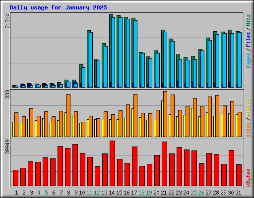 Daily usage for January 2025