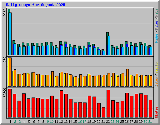 Daily usage for August 2025