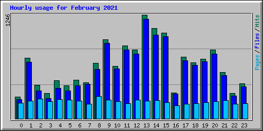 Hourly usage for February 2021
