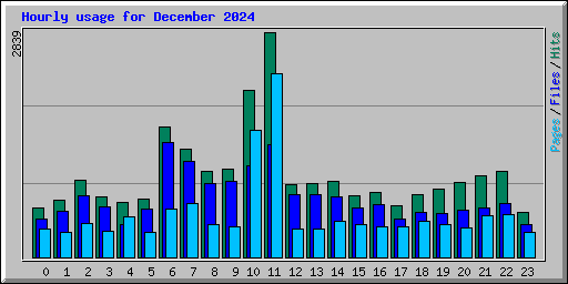 Hourly usage for December 2024