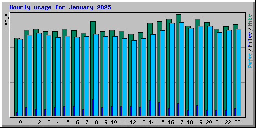 Hourly usage for January 2025