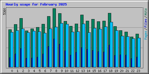 Hourly usage for February 2025