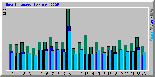 Hourly usage for May 2025