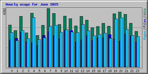 Hourly usage for June 2025