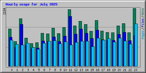 Hourly usage for July 2025