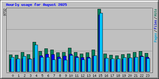 Hourly usage for August 2025