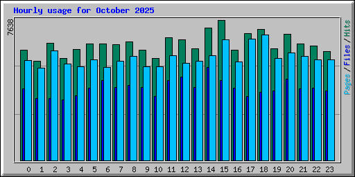 Hourly usage for October 2025
