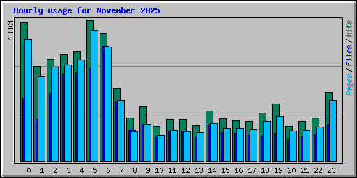 Hourly usage for November 2025