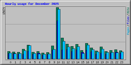 Hourly usage for December 2025