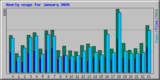 Hourly usage for January 2026