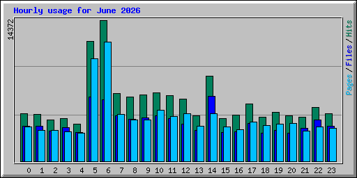 Hourly usage for June 2026