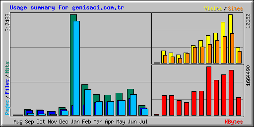 Usage summary for genisaci.com.tr